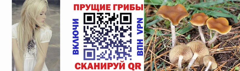 Галлюциногенные грибы Magic Shrooms  Рыбное 